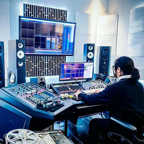 Artnovion案例賞析 2021年2月錄音制作中的聲學藝術(shù)應用